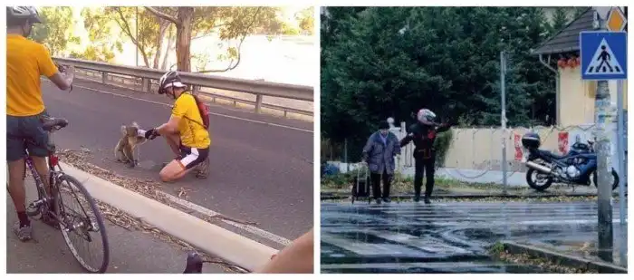 20 фото, которые раскрывают всю доброту мира