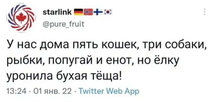 Неутешительные итоги новогодних каникул 2022 года, которыми поделились пользователи Twitter