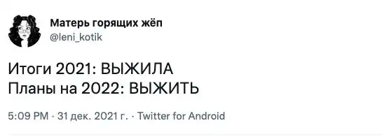 "Просто выжить!": пользователи поделились планами на 2022 год