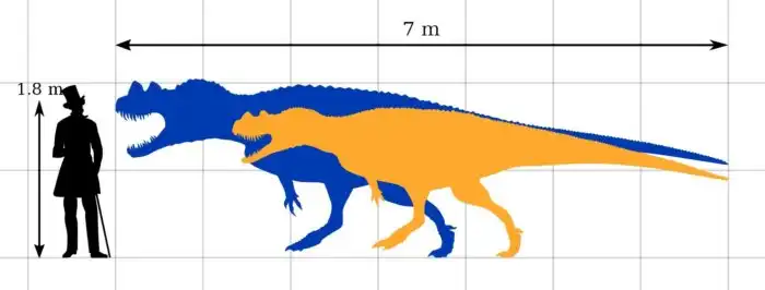Цератозавр: Рогатый родич тирекса, которого аллозавры довели до вымирания