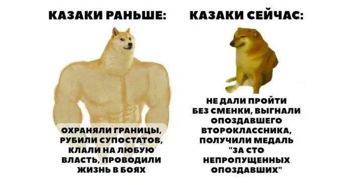 Никто не дискредитирует казаков так сильно... как сами казаки