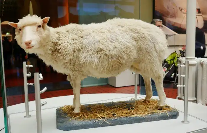 7 вымерших животных, которых хотят возродить учёные в ближайшие десятилетия