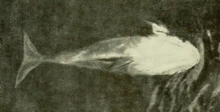 30 интересных и душевных фактов обо всем на свете