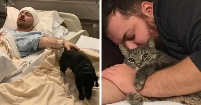 Животные, которые умиляют и восхищают своей преданностью