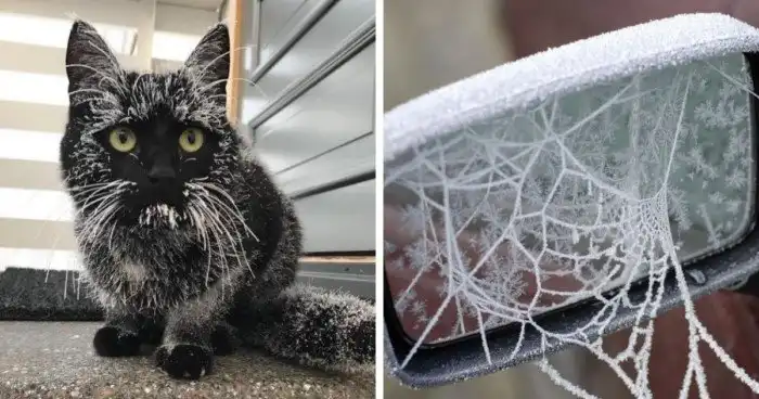 Зима — это умелый художник, который создаёт свои лучшие шедевры