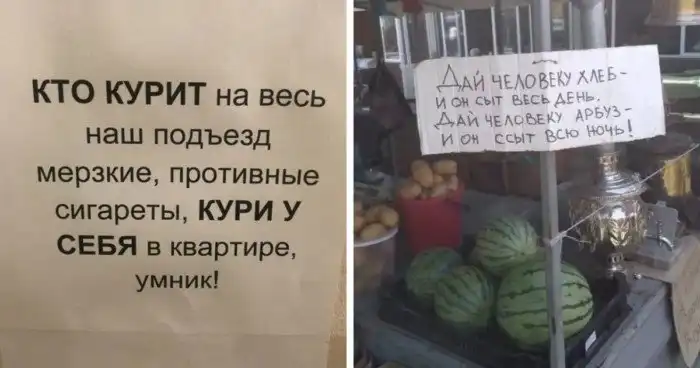 Странные и забавные объявления