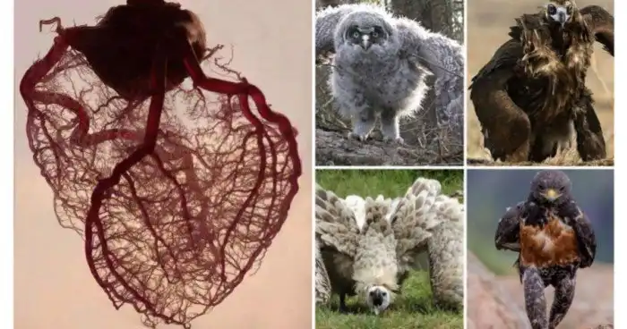 15 увлекательных фотографий, которые запомнятся надолго