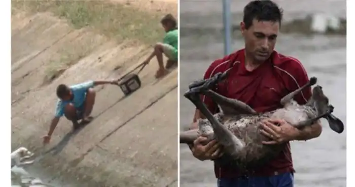 15 трогательных кадров, которые доказывают, что счастливый конец существует