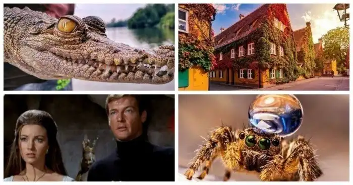 25 интересных фактов о нашем мире