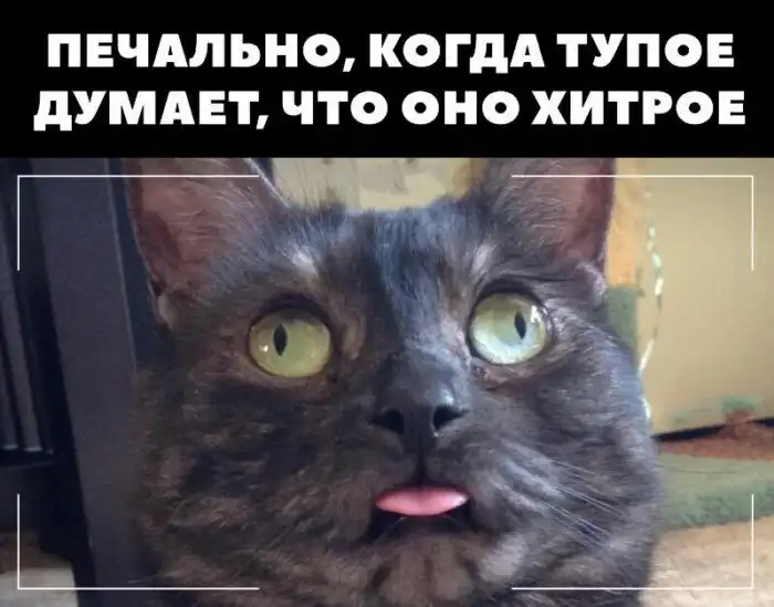 Спонсором этого поста стали производители тормозной жидкости