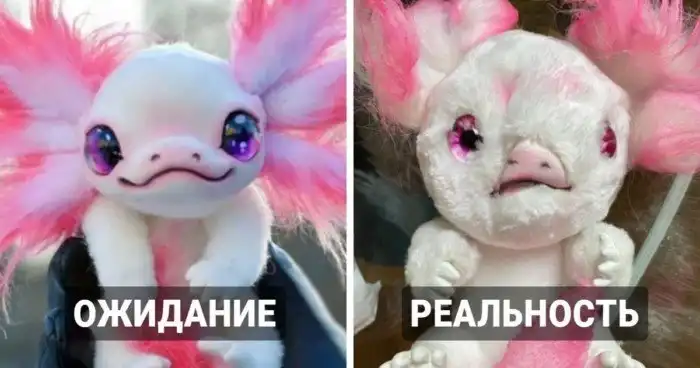 Когда реальность несколько превзошла ожидания