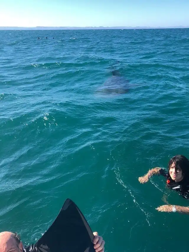 Пугающая атмосфера морей, океанов и озёр