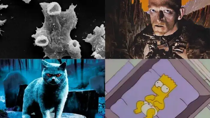 Опасная живность, сомнительная медицина и другие мрачные факты об окружающем нас