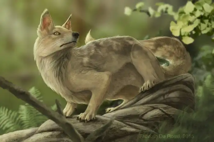 Геспероцион: Что будет, если собака резко эволюционирует в кошку? 35 млн лет назад случилось что-то похожее