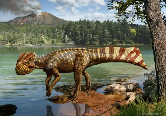 Археоцератопс: Маленький и слабый предок великого трицератопса. Что помогло ему так возвыситься?