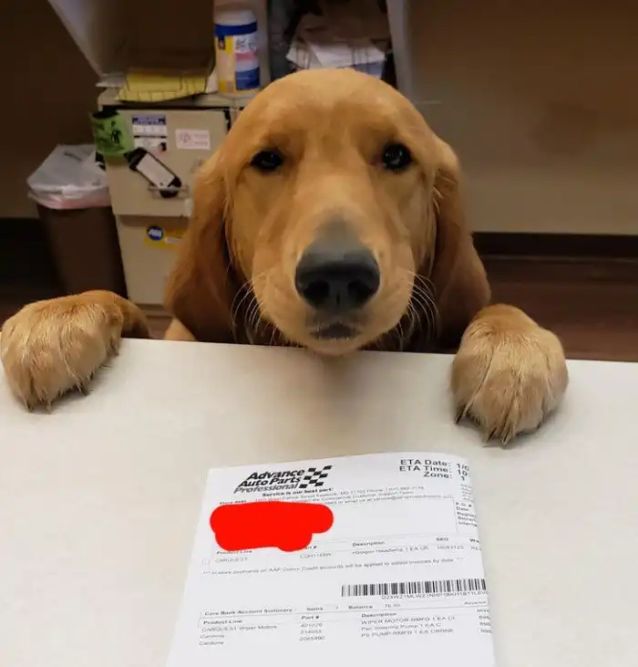 18 курьеров решили показать занимательные нюансы своей работы, о которых мы не догадывались