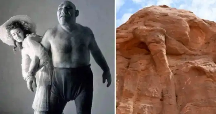 15 фотографий, которые расскажут больше, чем энциклопедия