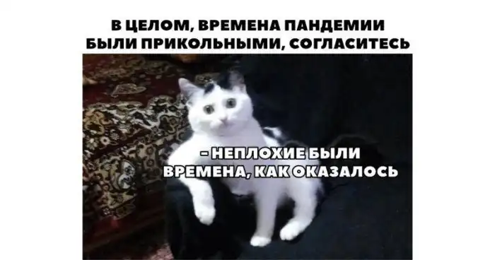 Мир летит в тартарары... Мемоделы выходят на сцену