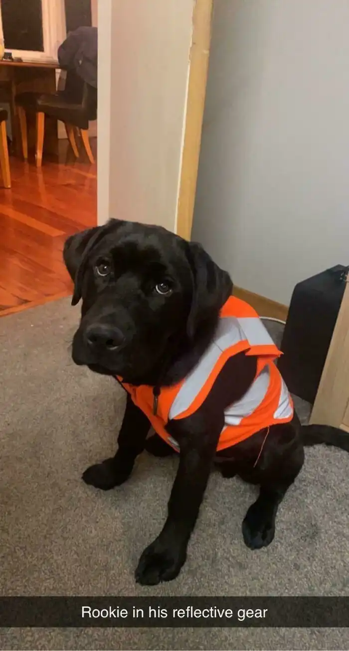 30 нехитрых способов сэкономить: советы тех, кто считает каждую копейку