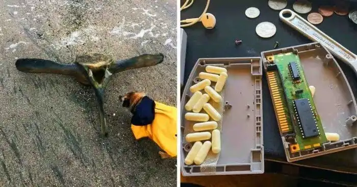 30 неожиданных находок