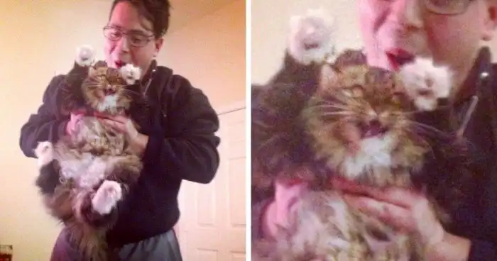 Забавная реакция животных на обычные события