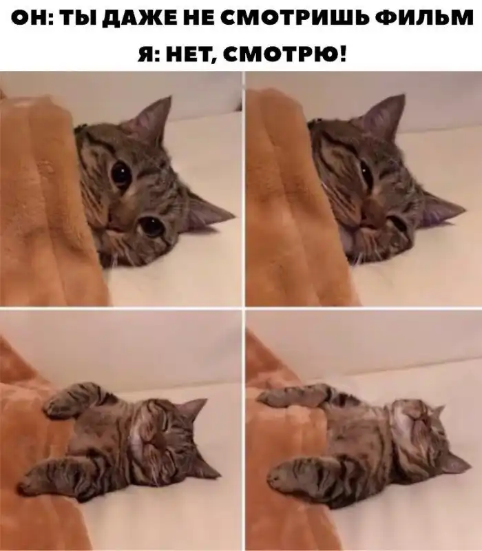 Вся суть отношений между мужчинами и женщинами в мемах и переписках