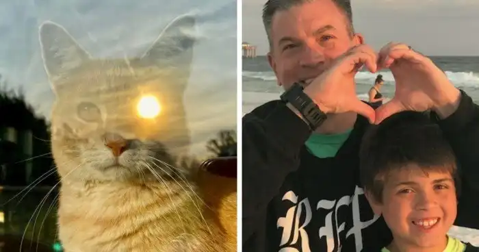 16 снимков, на которых был пойман максимально удачный момент