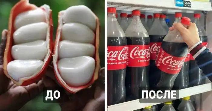 10 товаров, которые прошли долгий путь преображения перед тем, как попасть на полки магазинов