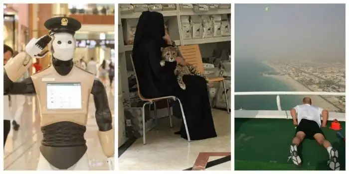 Очень красиво, невероятно роскошно: наглядные примеры уровня жизни в Дубае