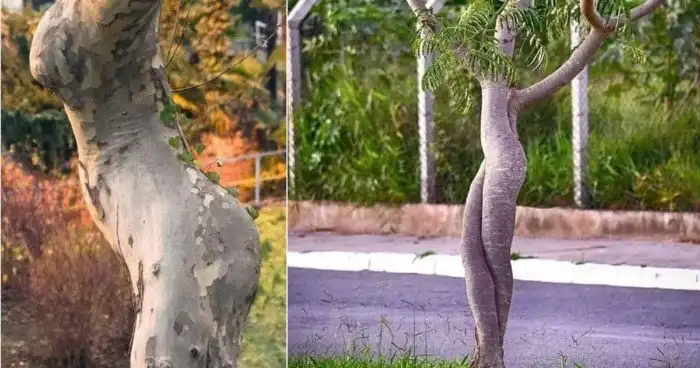 Дендрологическая подборка для тех, кто устал от всего "вот этого"