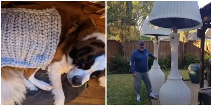 Ожидание и реальность: разочаровательные покупки из интернета, которые могут только насмешить