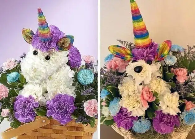 Ожидание и реальность: разочаровательные покупки из интернета, которые могут только насмешить