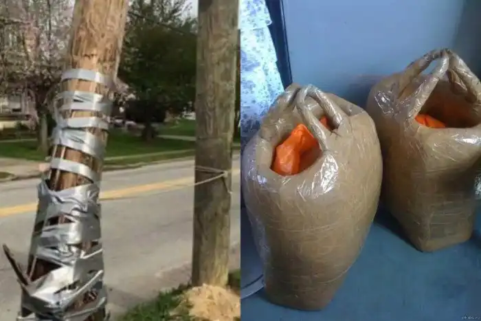 Скотч способен решить любую проблему