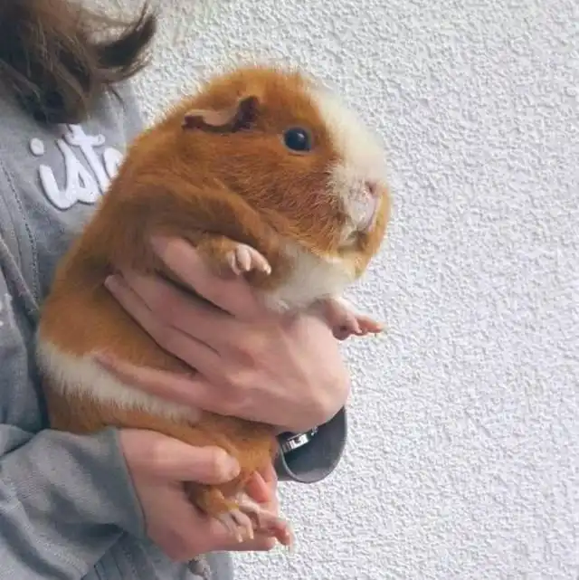 Занятные фотографии из серии "все познается в сравнении"