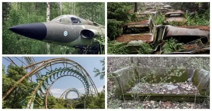 Брошенные объекты, найденные во время прогулки по лесу