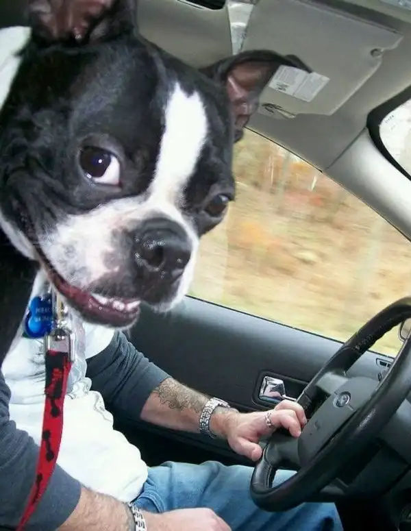 Забавные и внезапные совпадения в кадре