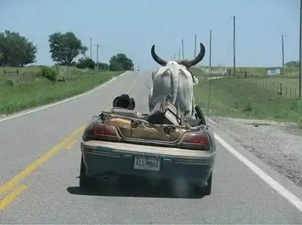 17 человек, у которых логика нервно курит в сторонке