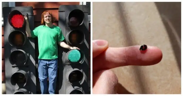 Маленькие неожиданности, которые оказались забавными и приятными