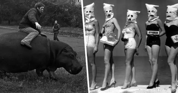 Без исторической справки не разберешься, или коллекция очень странных фото