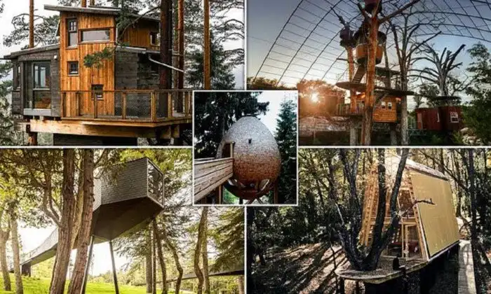 Самые невероятные дома на деревьях