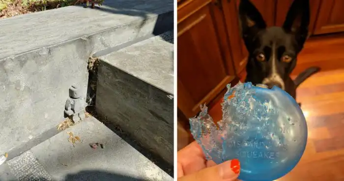 35 человек, которым повезло найти «пасхалки» в реальной жизни