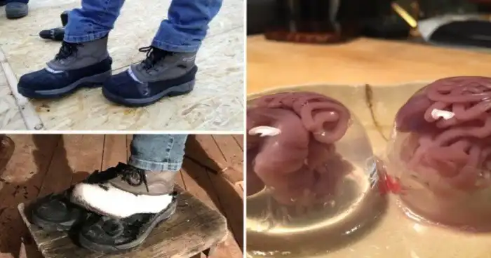 15 человек, которые доказали, что обман нас может подстерегать за каждым углом