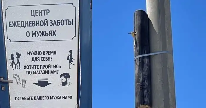 Как правильно проявлять заботу: пособие для жён и лесорубов