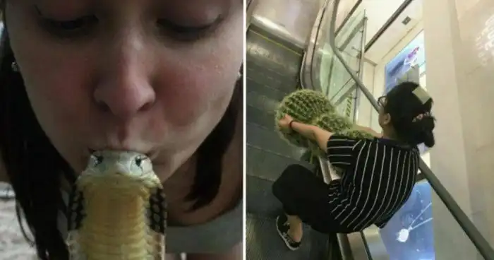 15 изображений, демонстрирующих глупую сторону человечества