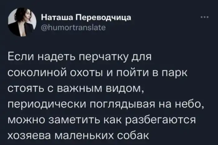 Умно и смешно: убойные высказывания пользователей соцсетей обо всем на свете