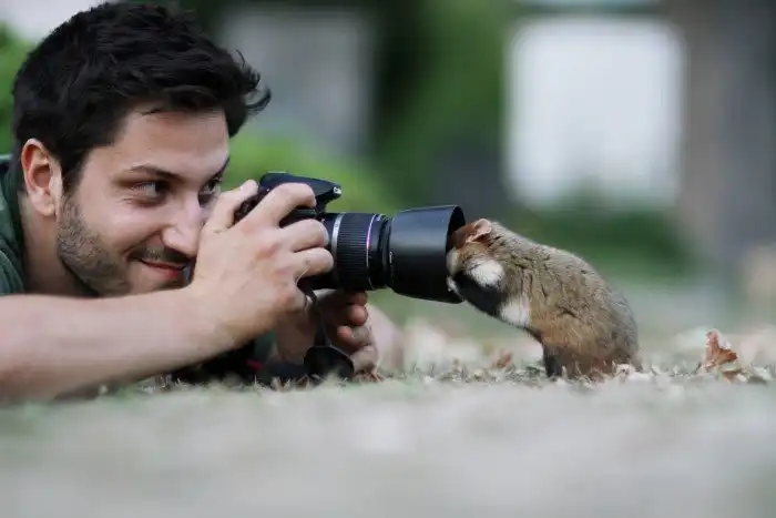 Фотограф делает милейшие снимки с дикими хомяками