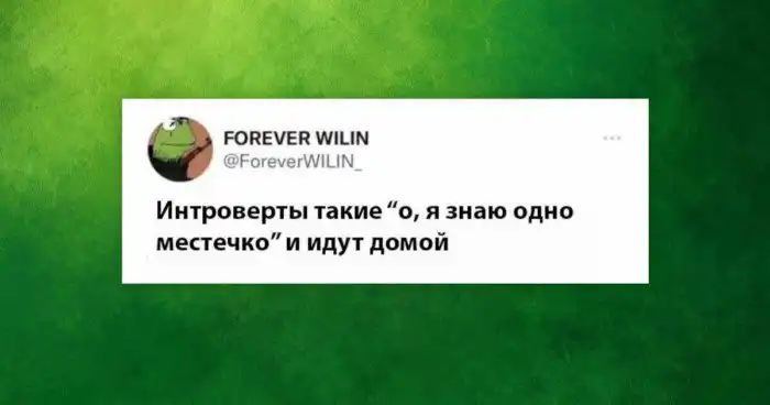 Когда ты не социфоб, а просто не любишь общаться