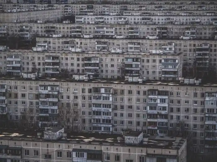 Почему городские животные злее лесных? Их такими делают каменные джунгли