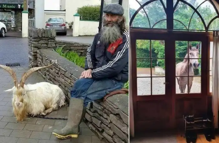 14 комичных и неожиданных фото из Ирландии, которые показывают реалии жизни в ней