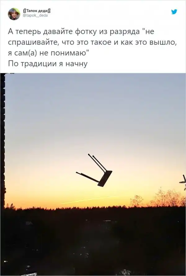 "Слишком много вопросов": тред в Твиттере, в котором люди не смогли объяснить происходящее на фото
